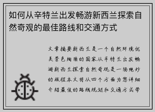 如何从辛特兰出发畅游新西兰探索自然奇观的最佳路线和交通方式